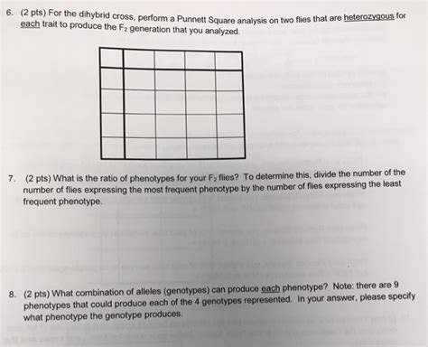 The punnett square is a table in which all of the possible outcomes for a genetic cross between two individuals with known genotypes are given. Solved: 6. (2 Pts) For The Dihybrid Cross, Perform A Punne ...