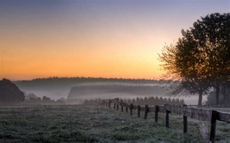Morning Field Trees Fog Landscape Sunrise Wallpapers Hd Desktop