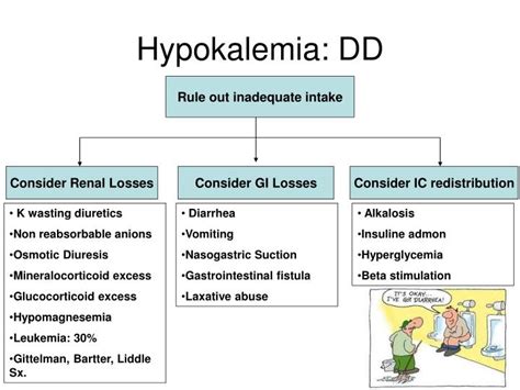Ppt Hyperkalemia And Hypokalemia Powerpoint Presentation Id4175522