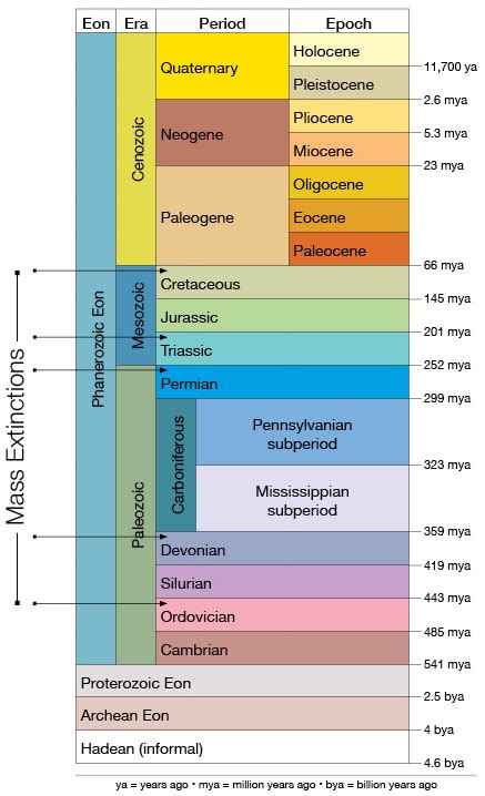 Mass Extinctions Geokansas