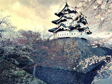 White Castle Japan Hikone Castle Landscape Hd Wallpaper Wallpaper