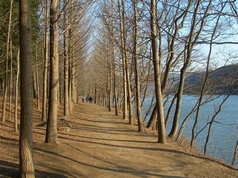 In this pandemic, winter sonata became my companion especially during lockdowns. Penang Bridge, With Love: Seoul is ooo SENSUAL Nami Island