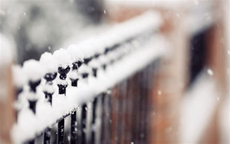 Gorgeous Snow Fence Wallpaper 1920x1200 27174