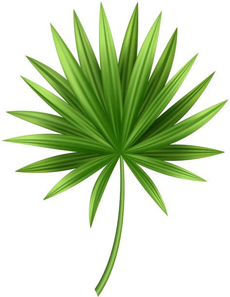 Download Tropical leaf clipart transparent pictures on Cliparts Pub ...