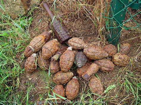Minden Pictures Iron Harvest World War One Unexploded Grenades