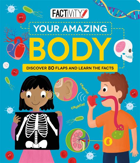 Factivity Your Amazing Body Discover 80 Flaps And Learn The Facts