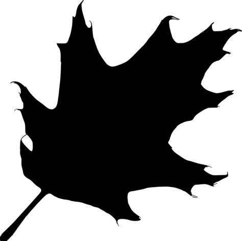 Oak leaf silhouette clipart vector | Leaf silhouette, Silhouette vector, Silhouette clip art