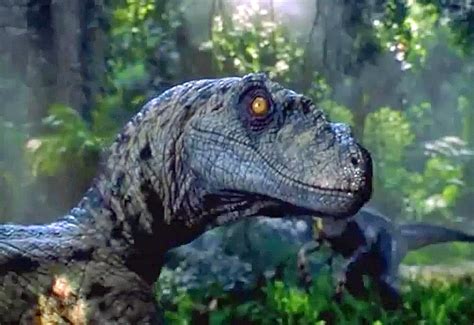 Scientists Just Destroyed Our Dreams Of A Real Jurassic Park Bgr