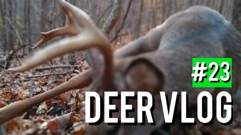 Public Land Wma Double Buck Hunt Deer Vlog S8 23 Youtube
