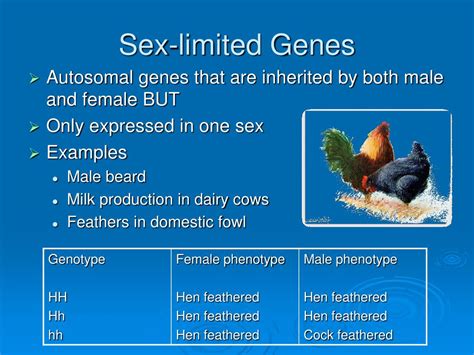 Ppt Mendel And Heredity Powerpoint Presentation Free Sexiezpix Web Porn