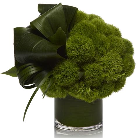 My Favorite Flora Dianthus Green Trick Modern Floral Arrangements