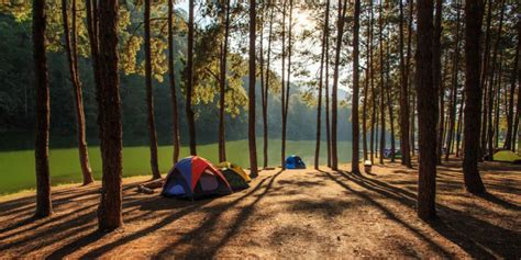 Wana wisata ini terdiri dari hutan alam dan hutan tanaman, sumber air yang ada berupa mata air yang saat ini dimanfaatkan untuk keperluan pengunjung. Hutan Pinus Mangunan - Phinemo