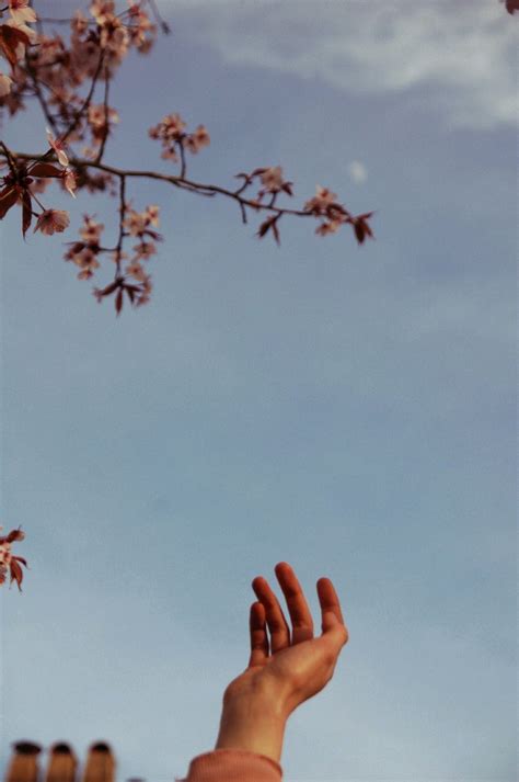 Image result for aesthetic laptop wallpaper. ˗ˏˋ insta & pinterest: keelybxo ˊˎ˗ | Sky aesthetic ...