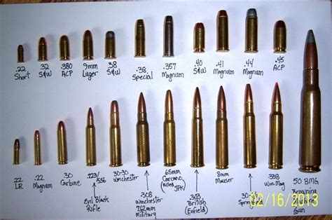 Ammo Size Comparisons 22 Short To 50 Bmg