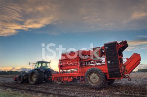 Potato Harvester Stock Photo Royalty Free Freeimages