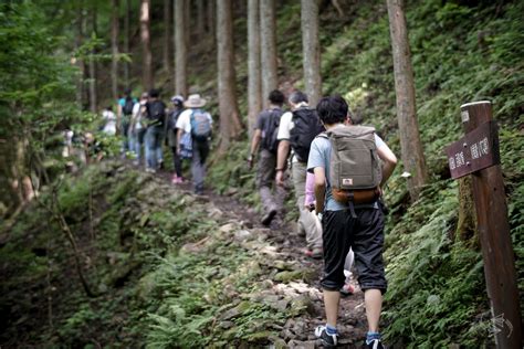 Shinrin Yoku Forest Bathing Is The Latest Japanese Health Trend