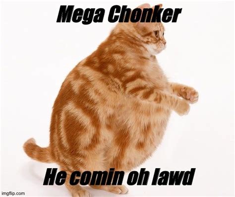 Image Tagged In Chonk Cat Dance Imgflip