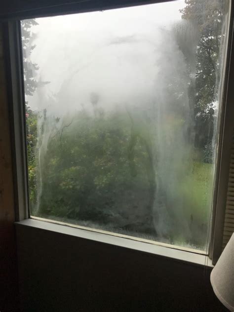 Foggy Window Replacement In Abbotsford Valley West Glass