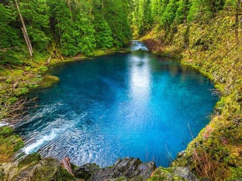 34 Incredible Things To Do In Oregon For Your Bucket List — Road Trip Usa