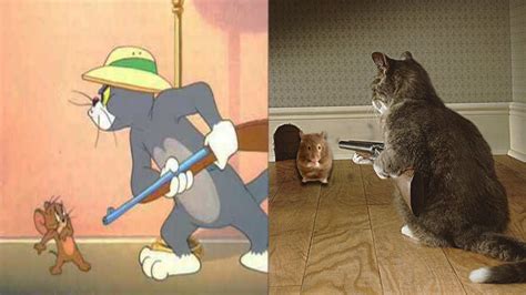 Tom And Jerry Characters In Real Life Youtube