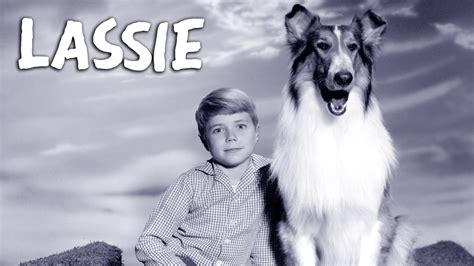 Lassie · Season 1 Plex