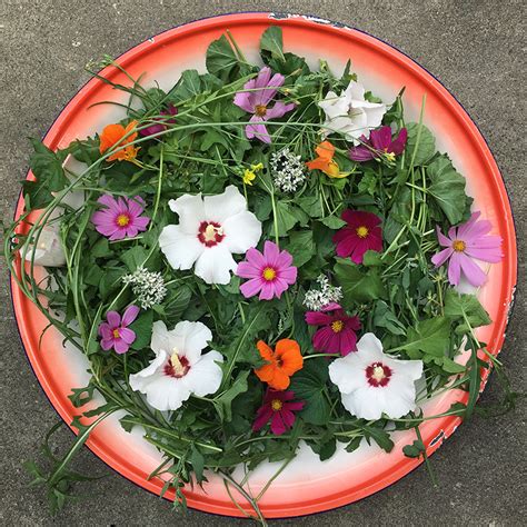 I met today's guest, helen o'donnell, at a. An Interview with Margaret Roach of A Way to Garden - You ...