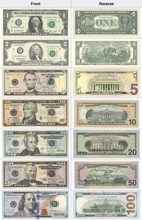 United States Currency Usd Guide