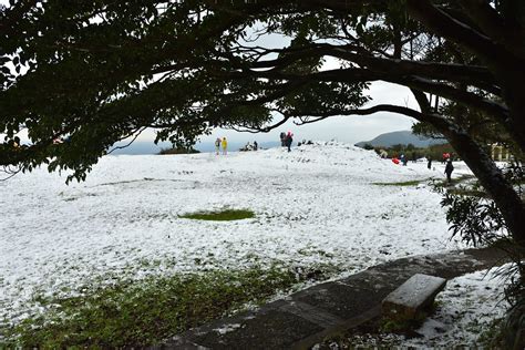 陽明山下雪了 七星公園、夢幻湖雪景