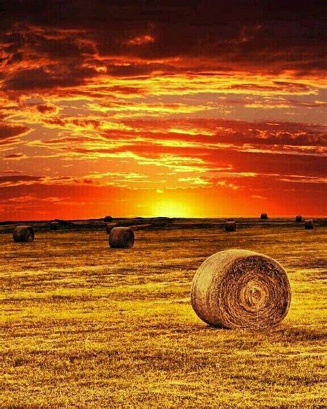 Hay Field Sunset