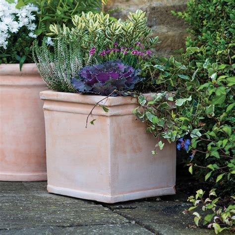 Extra Large Terracotta Plant Pot 4 Sizes Multipacks Gardenesque