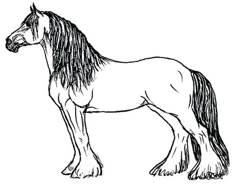 Appaloosa Horse Coloring Pages At Free Printable