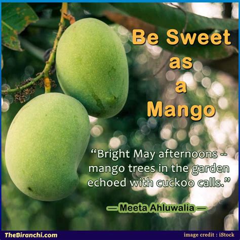 Top 10 Best Mango Quotes