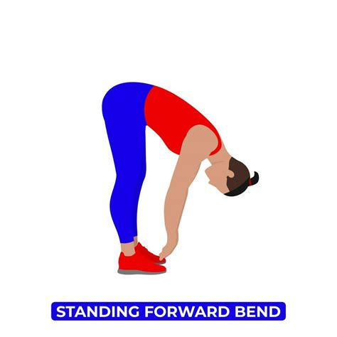 Vector Man Doing Standing Forward Bend Spinal Flexion Back Stretch