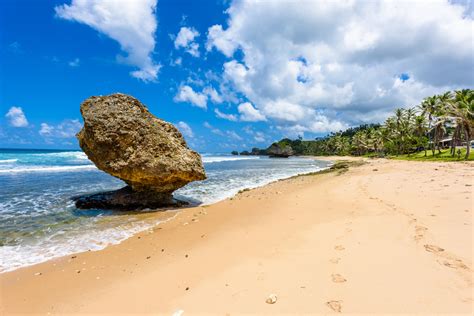 Everything You Need To Know For The Best Vacation In Barbados