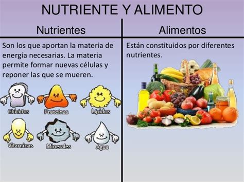 Alimentos Nutrientes Y Beneficios Para El Organismo