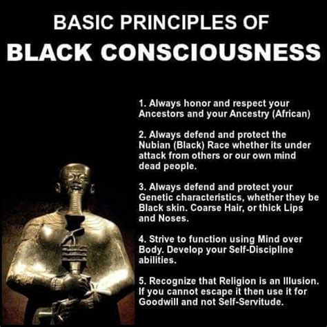 Pin On Black Consciousness