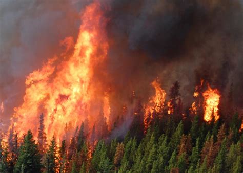 Check spelling or type a new query. Burns Lake 'in the thick of' B.C. fires | Canadian ...