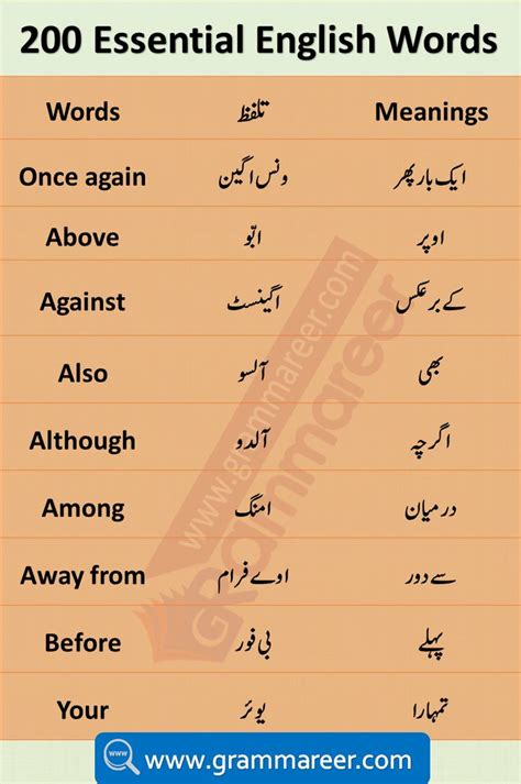 Basic English Vocabulary Words in Urdu | Vocabulary words, English vocabulary words, English ...