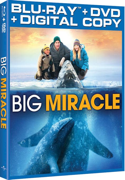 The lord jesus said, not every one that said to me, lord, lord, shall enter into the kingdom of heaven; Big Miracle | The incredible true story, Amazon instant ...