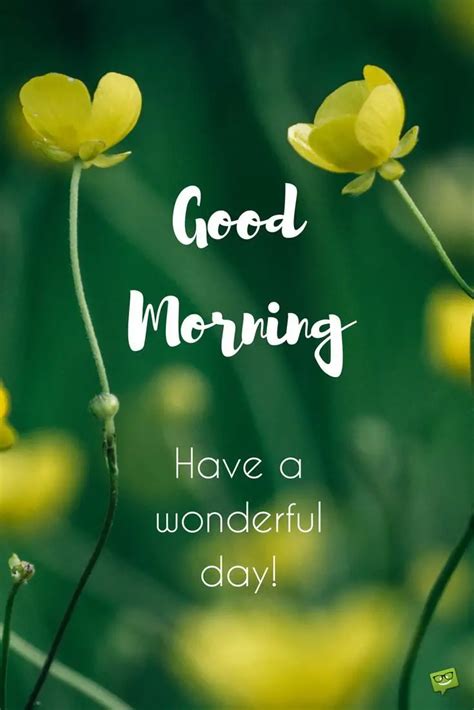 Cute And Inspirational Have A Great Day Quotes
