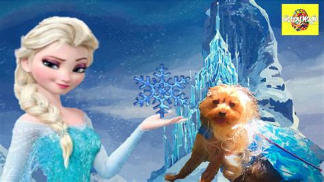 2 anna played as snow white inanna white and the seven characters 3 anna played as christina aguilera in animated tale 4 anna played as jenny in melody time (160 movies style) 5 anna played as mulan in. Disney Frozen Elsa & Her Cute Puppy at The Castle In ...