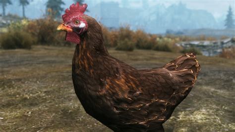 Chicken HD - The Elder Scrolls V: Skyrim Mods | GameWatcher