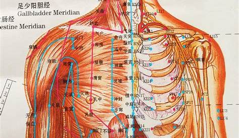 Chinesische Medizin Körper Akupunkturpunkte Meridiane und acupoints