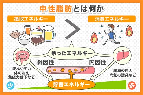 ドラッグストア 友岡薬局｜愛媛県松山市の健康相談・美容カウンセリングなど｜