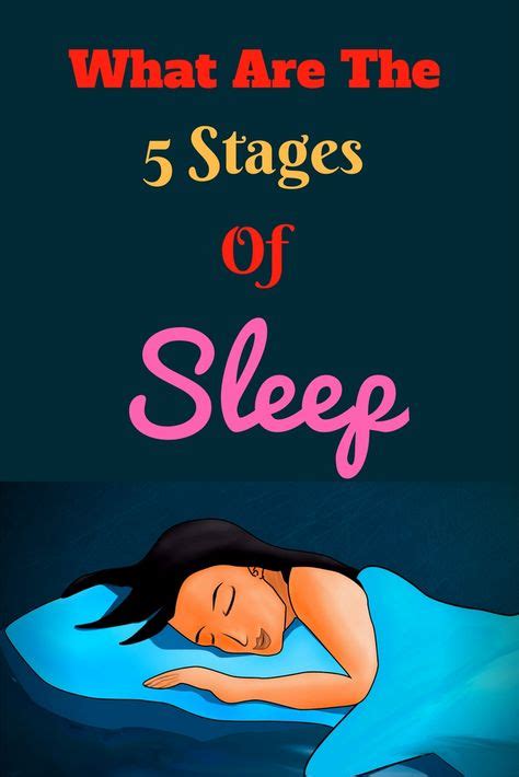 What Happens To Your Body When You Dont Get Enough Sleep Stages Of Sleep Stages Of Sleep