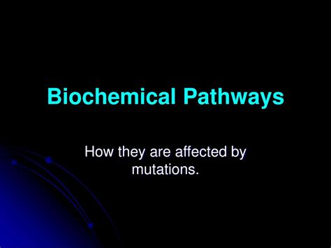 Ppt Biochemical Pathways Powerpoint Presentation Free Download Id