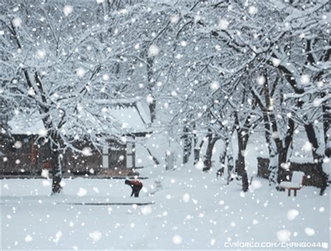 옥담 스푼 spoon✧٩(ˊωˋ*)و✧ on twitter. Nhân những ngày giá lạnh ở Mỹ nghe "Tombe la neige" -Adamo | ĐỒNG ...