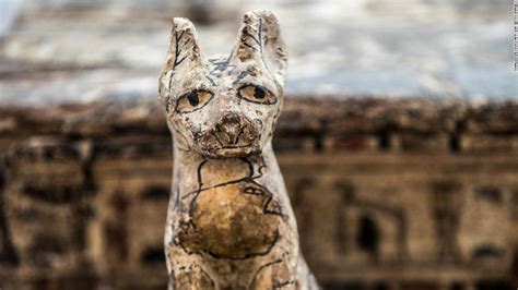 Mummified Lion Cubs Cats And Crocodiles Found By Egyptian