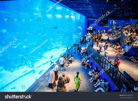 673 張 Underwater World Singapore 庫存照片、圖片和攝影 Shutterstock