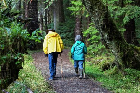 A Senior Couple Walking On Golden Spruce Trail In An Old
